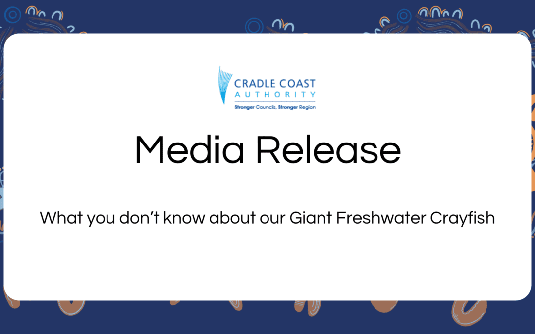 What you don’t know about our Giant Freshwater Crayfish
