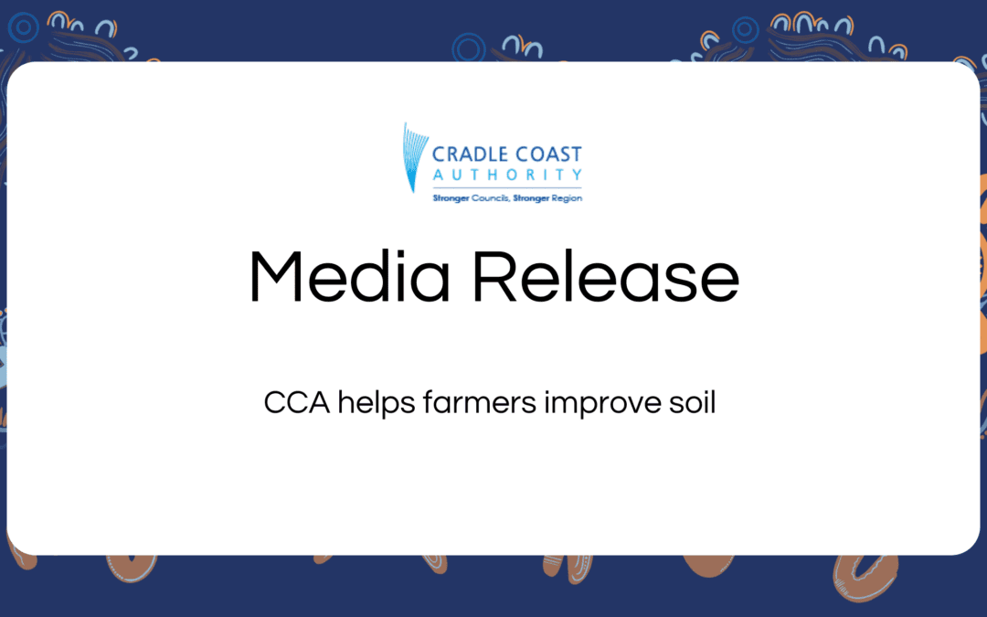 CCA helps farmers improve soil