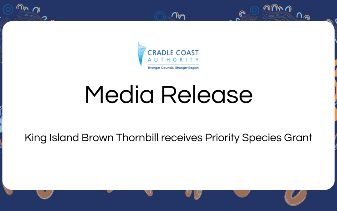 King Island Brown Thornbill receives Priority Species Grant