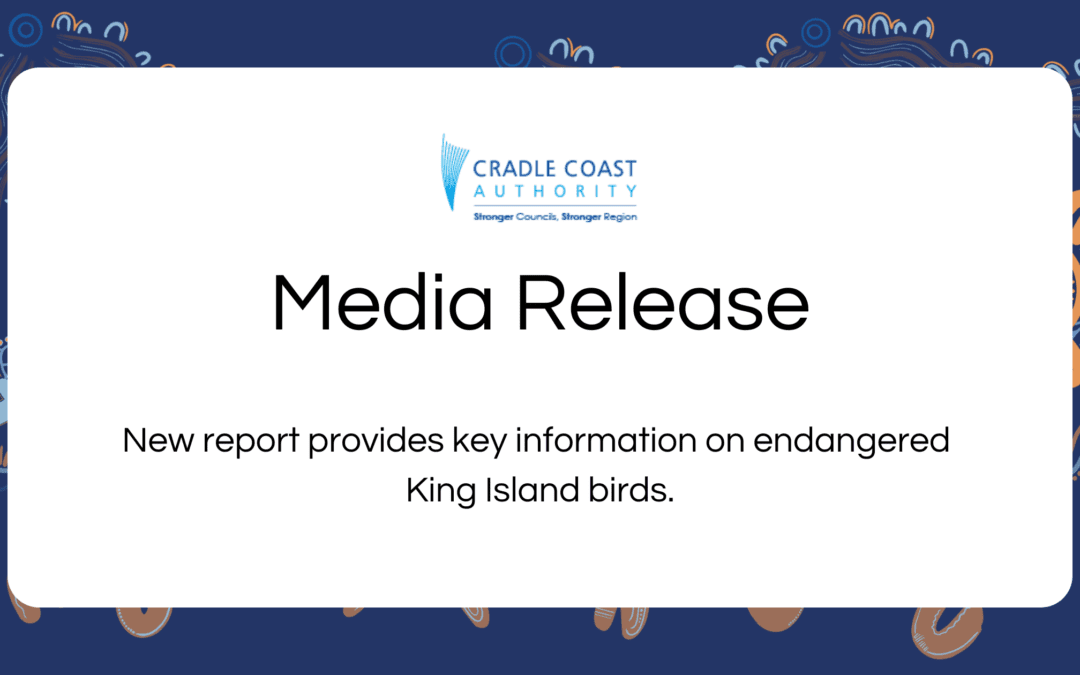 New report provides key information on endangered King Island birds.