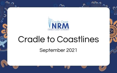 Cradle to Coastlines – September 2021