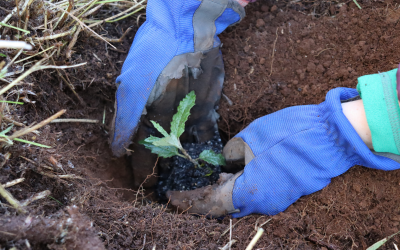 Community NRM Engagement Program