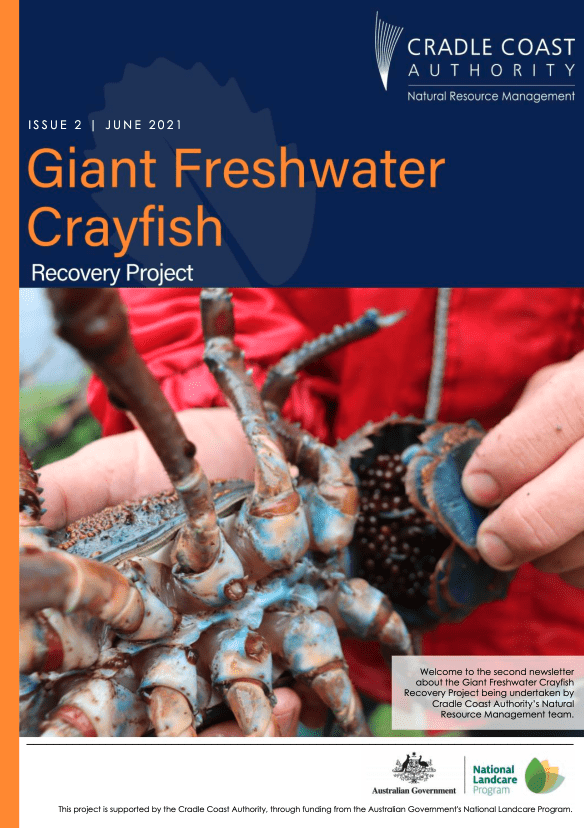Giant Freshwater Crayfish Recovery Project Newsletter – Issue 2 ...