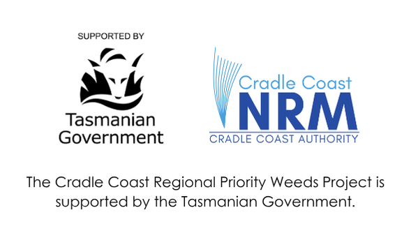 Tasmanian Government and Cradle Coast NRM logos with text about support for a regional weeds project.