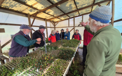 Small Grants create meaningful impacts for community groups