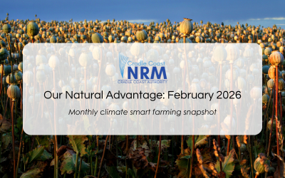 Our Natural Advantage: On-Farm Natural Disaster Preparedness, February 2026