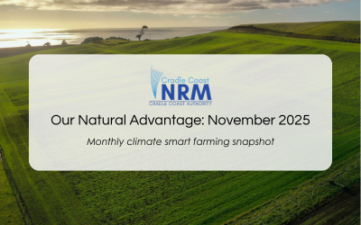 Our Natural Advantage: Mop-Top and Potato Diseases, November 2025
