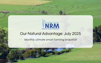 Our Natural Advantage: Supporting Dung Beetles, July 2025