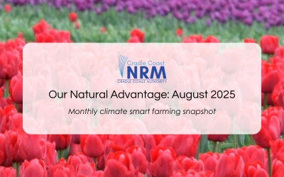 Our Natural Advantage: Multi-species Cover Crops, August 2025
