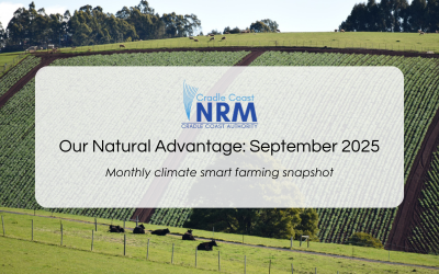 Our Natural Advantage: Weather and Climate, September 2025