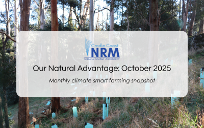 Our Natural Advantage: On-Farm Natural Capital, October 2025