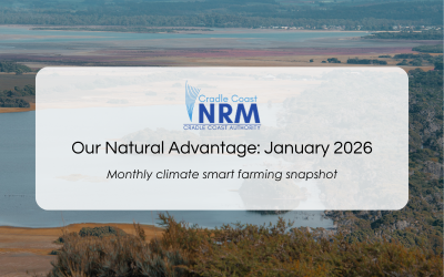 Our Natural Advantage: 2025 Wrap Up, January 2026