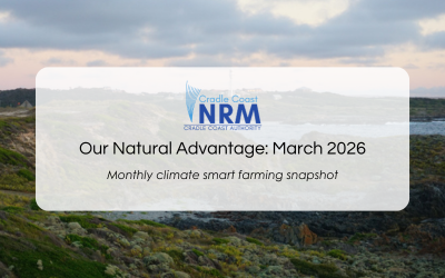 Our Natural Advantage: Demonstrating Natural Capital Accounting, March 2026
