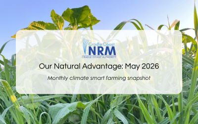 Our Natural Advantage: Valuing Cover Crops, May 2026