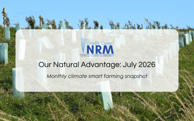Our Natural Advantage: Tree Planting, July 2026