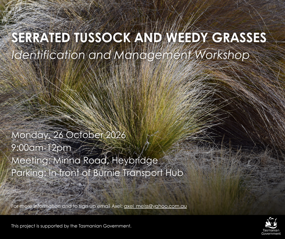 Serrated Tussock and Weedy Grasses Identification and Management Workshop