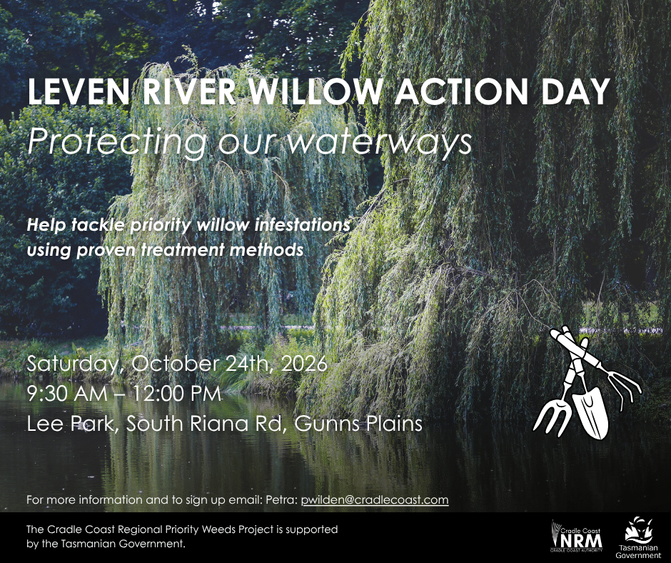 Leven River Willow Action Day
