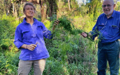 Partnering to Tackle King Island Weeds